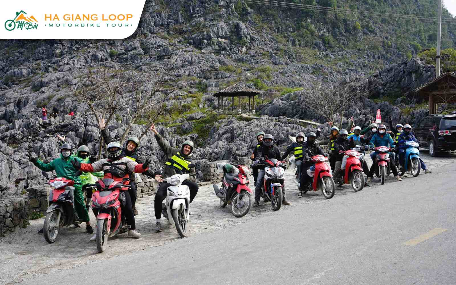 Join small or large tour group tours