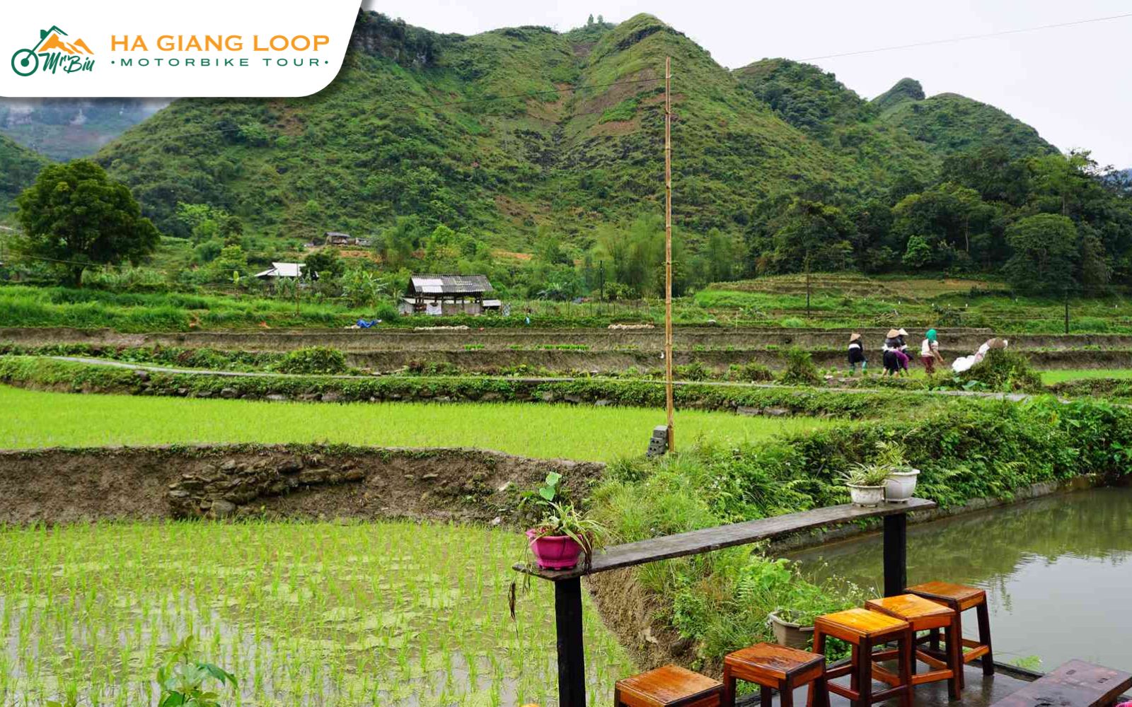 Mau Due Village is a peaceful retreat and an ideal stop on the Ha Giang Loop