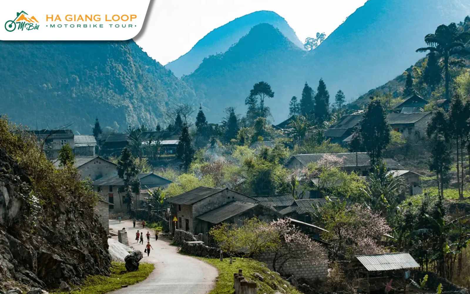 Sung La Valley – a romantic gem among destinations in Ha Giang