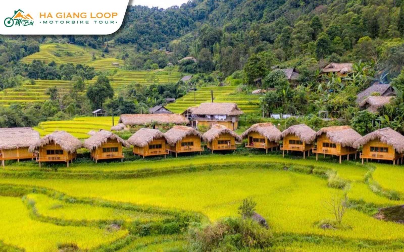 Enjoy Ha Giang’s cool air and stunning landscapes in November