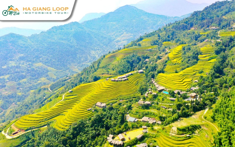 Admire Hoang Su Phi’s rice terraces, serene under winter’s touch