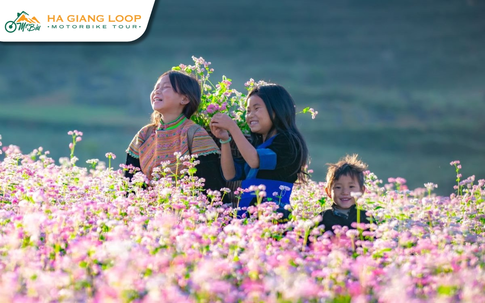Ha Giang blooms with culture at Buckwheat Festival