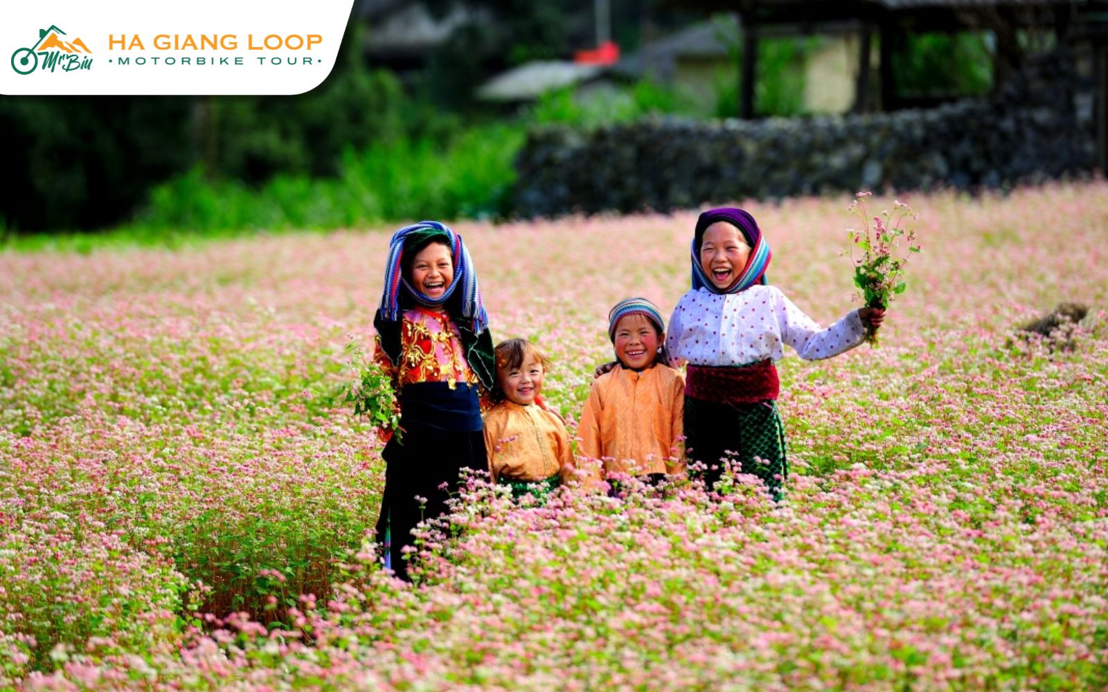  buckwheat flower season in october