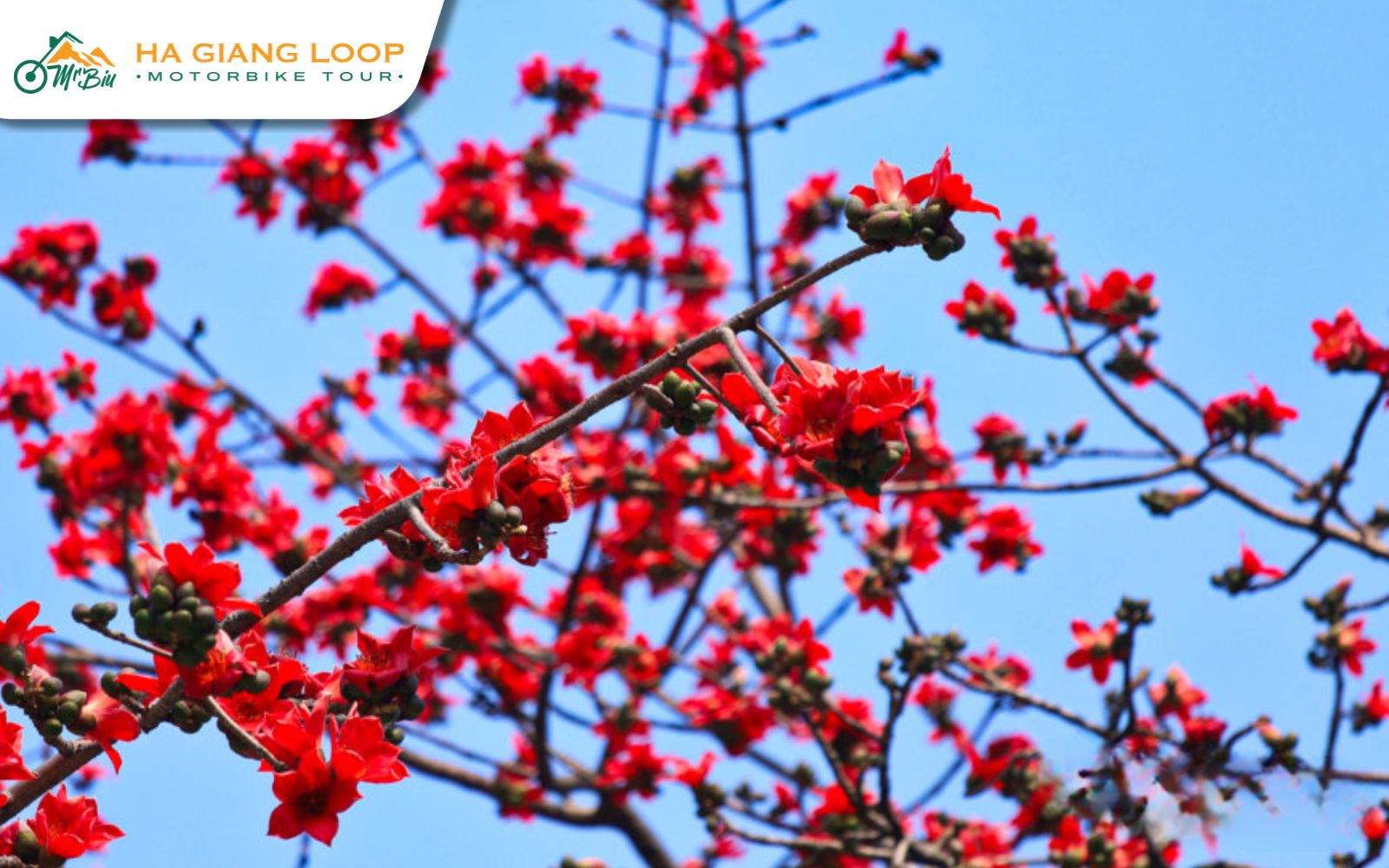 March’s red spectacle