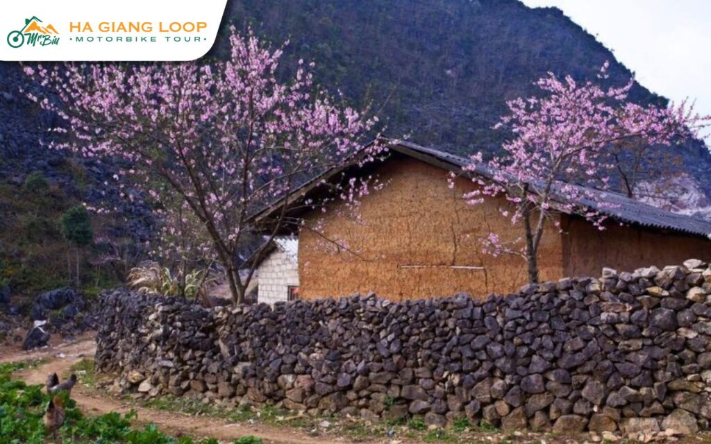 Pho Cao is one of the hidden gems in Ha Giang 