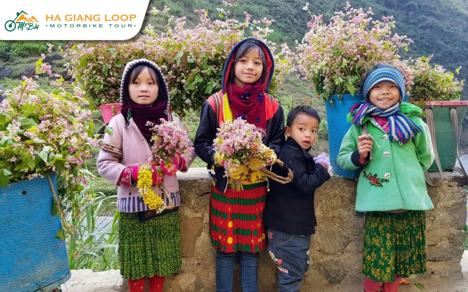 Tips for visiting Ha Giang during flower seasons