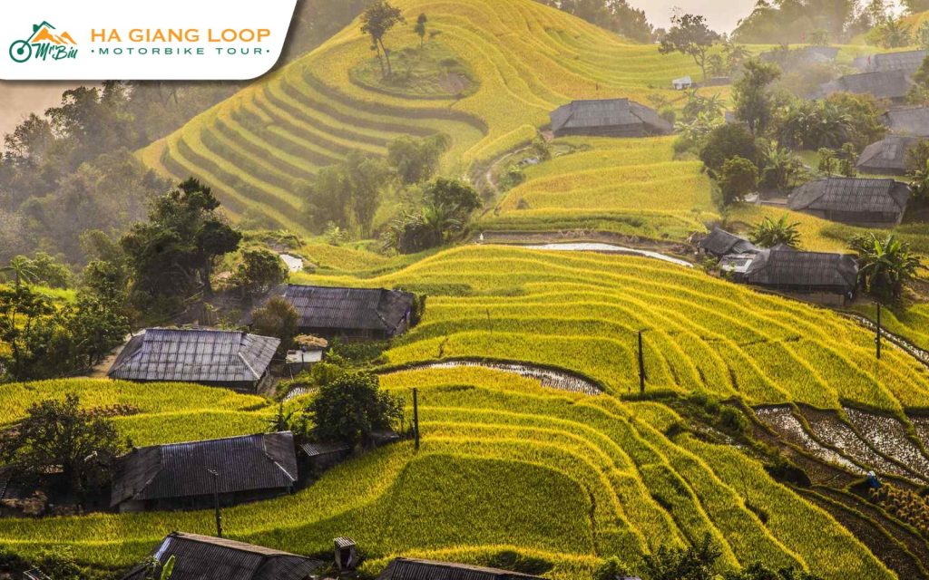 Experience the full beauty of Tham Ma Pass from September to November