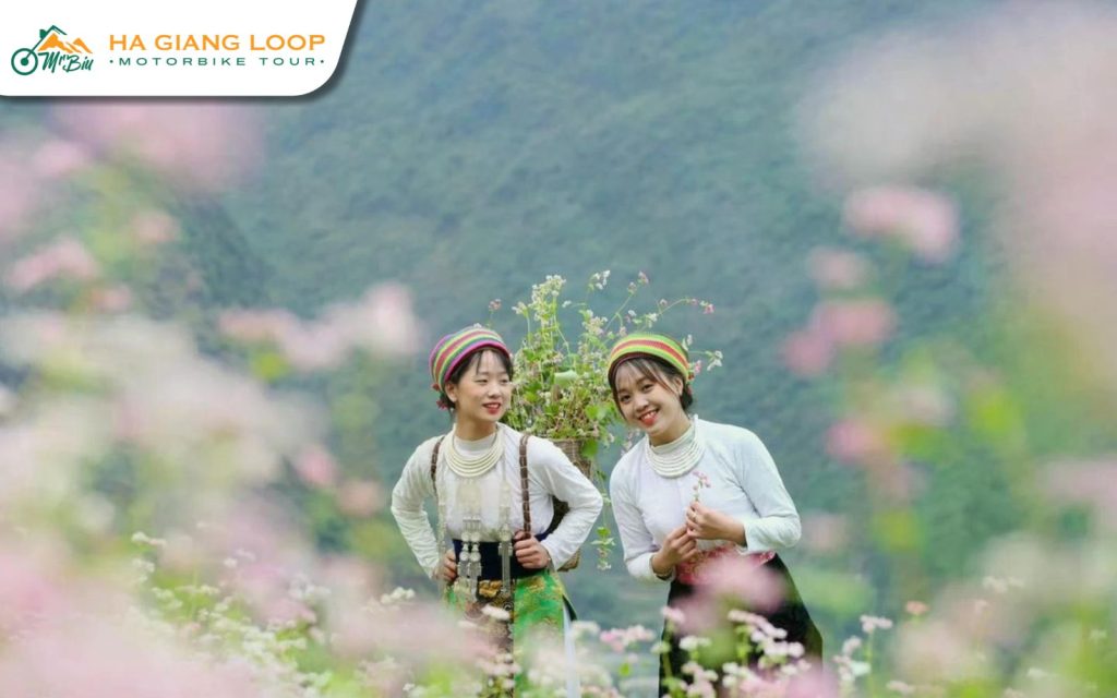 Experience traveling to Ha Giang in June
