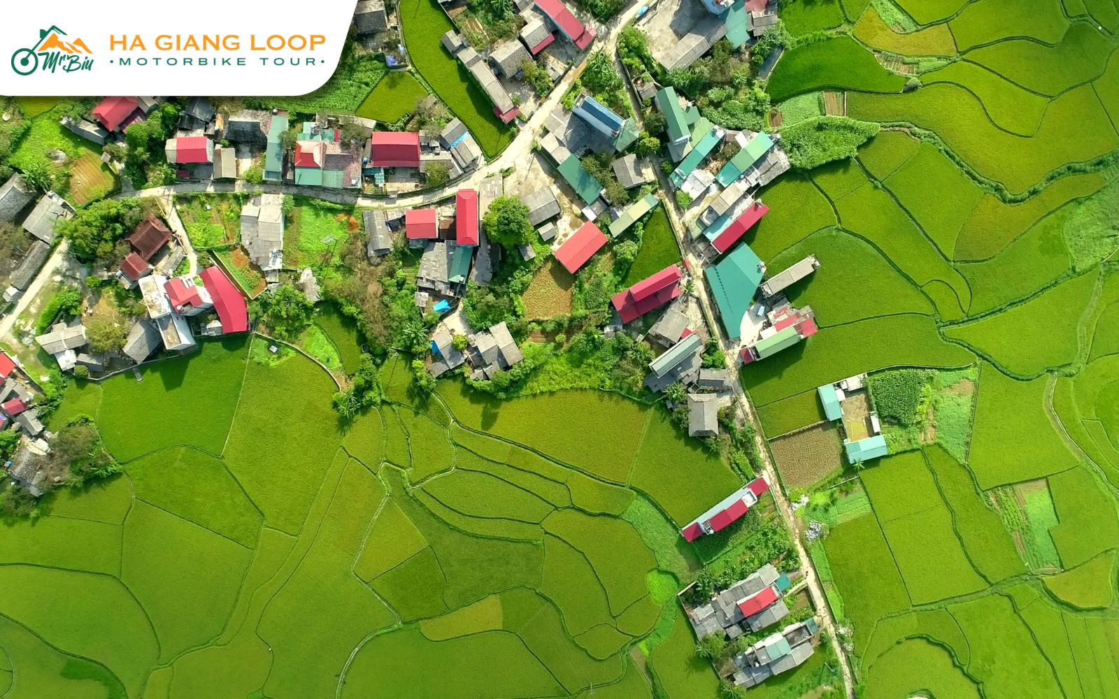 Where is Tam Son Town located?