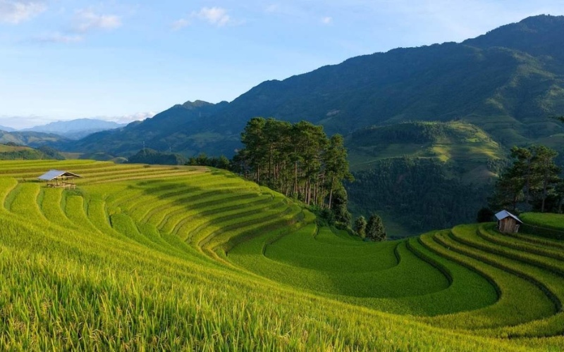 Ha Giang loop in May