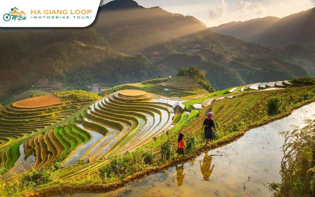 Detailed view of intricate water channels in the Hoang Su Phi terraced fields in May
