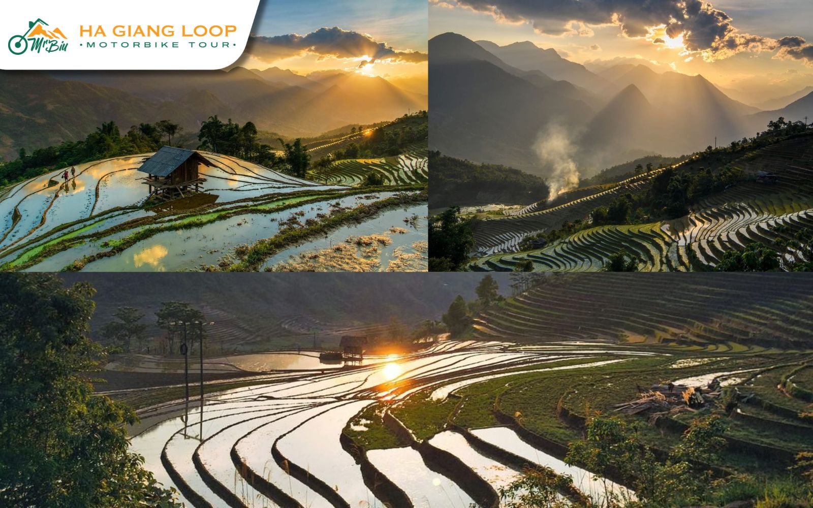 Sunset over the Hoang Su Phi flooded fields, turning them into a golden masterpiece in May