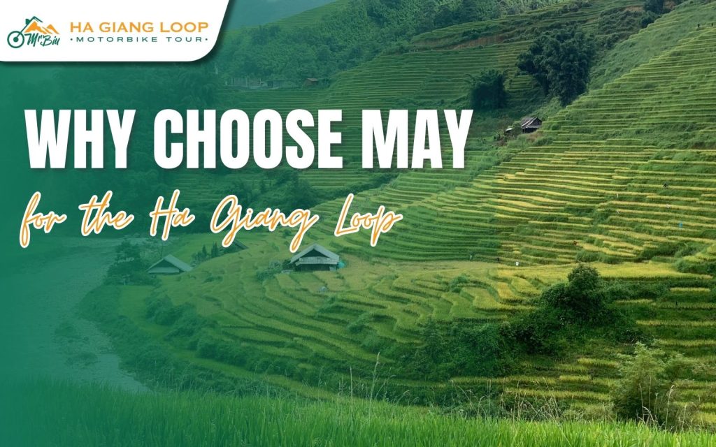 Lush terraces and blooming landscapes make May perfect for exploring Ha Giang Loop