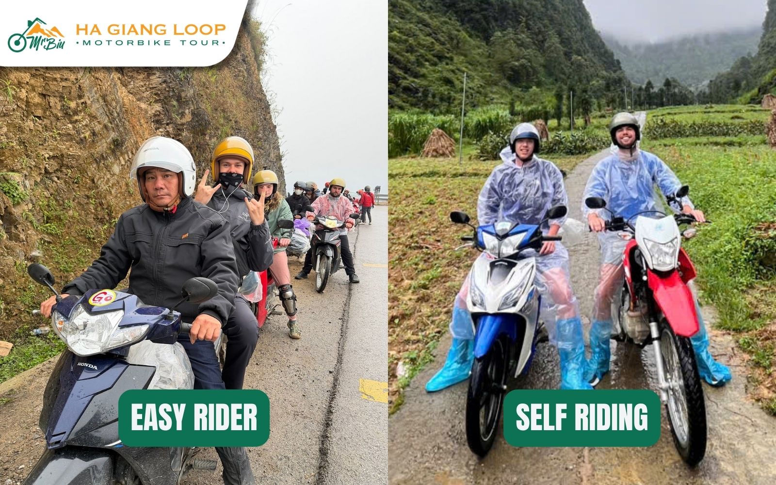 Choosing Between an Easy Rider and Self-Riding Experience