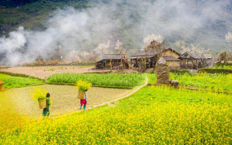 Ha Giang loop in February