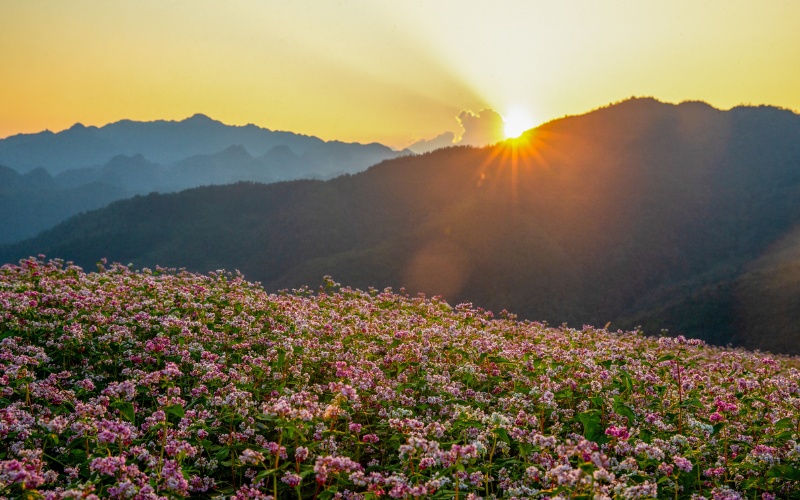 Ha Giang loop in October
