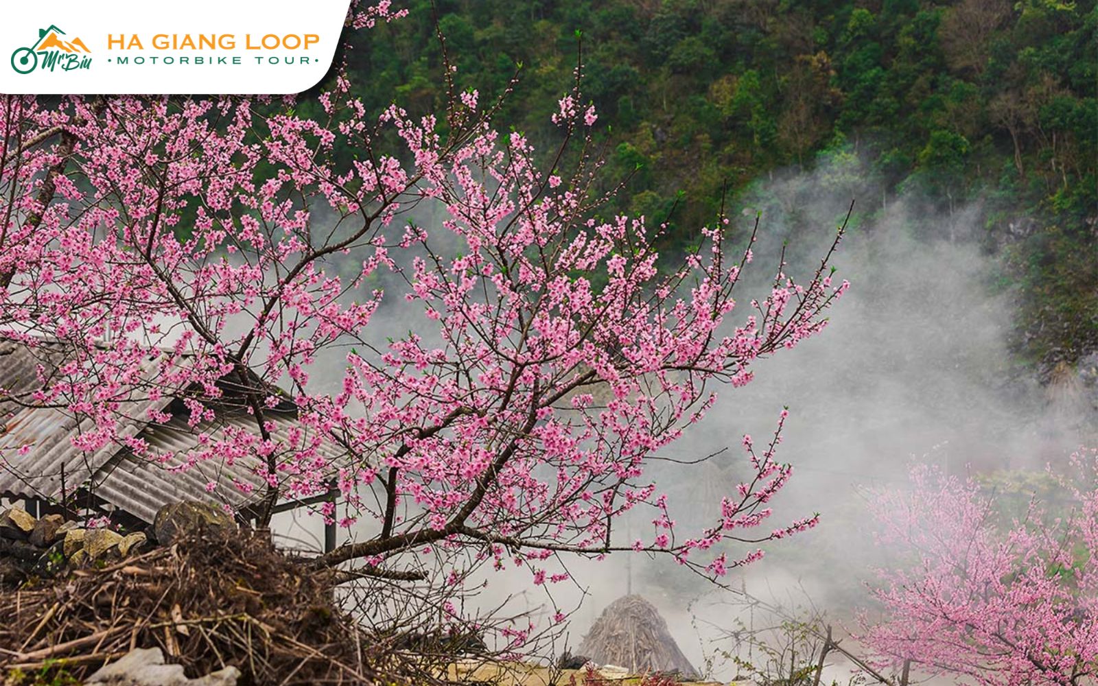 Ha Giang weather in February