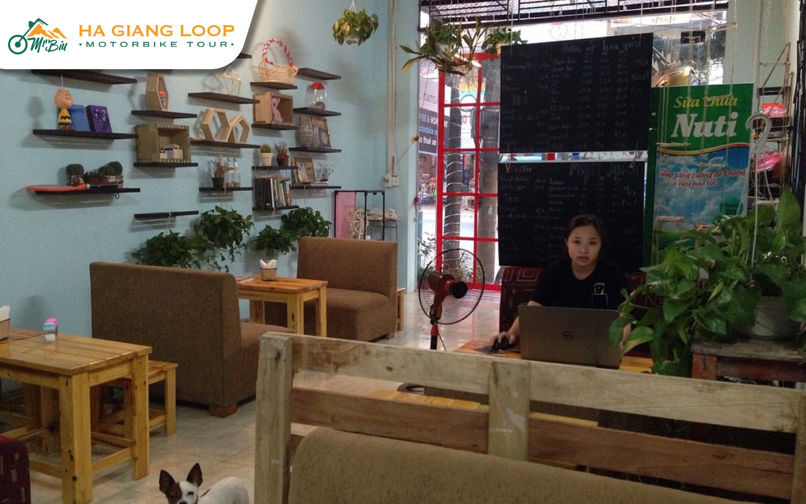 Chill café environment perfect for breakfast or relaxed coffee breaks