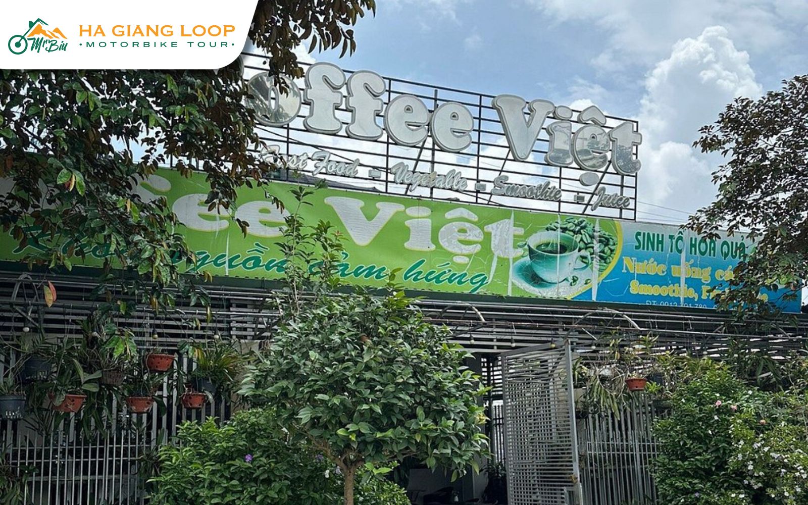 Comfortable homestay café offering coffee and local hospitality experience