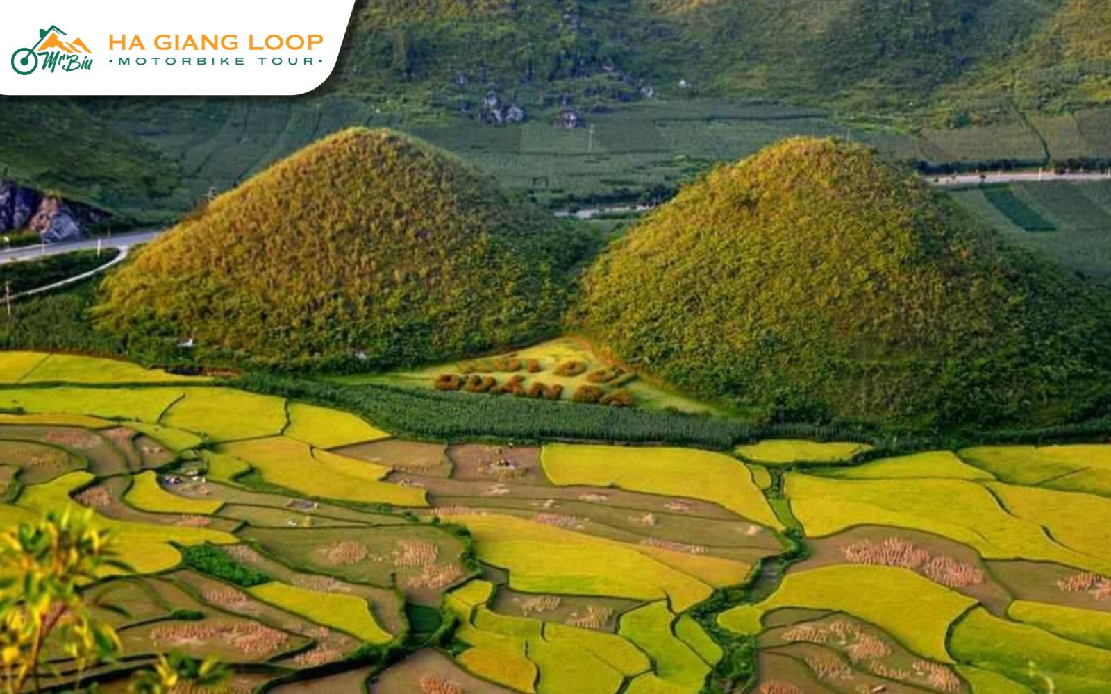 The peaceful landscape of rice fields, limestone hills, and villages around the Twin Mountains Ha Giang