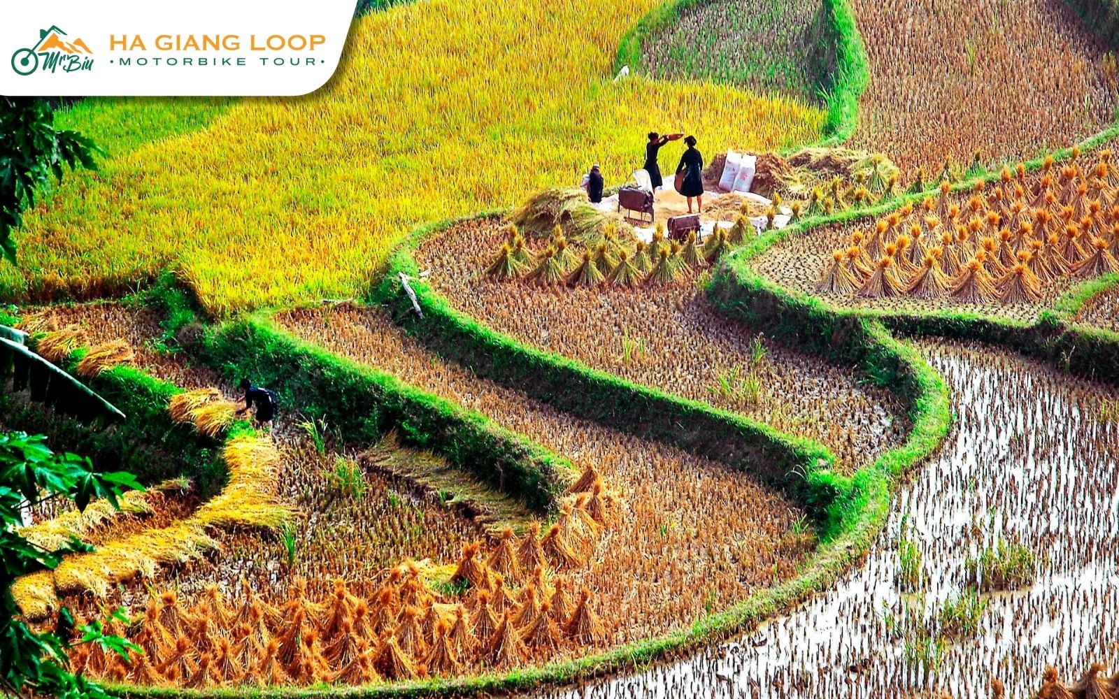 Harvest season brings villages to life with culture and tradition