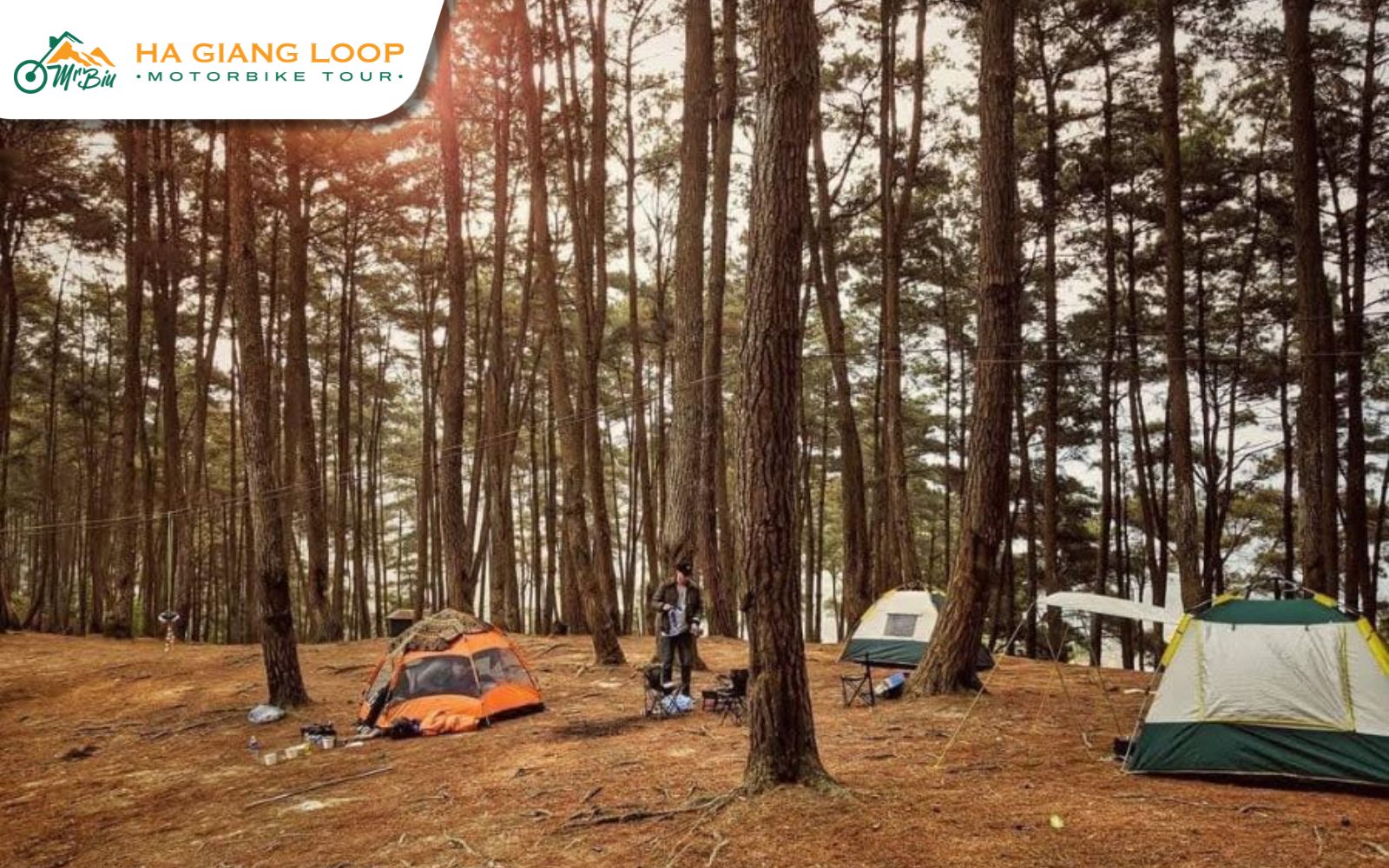 Camping & Stargazing