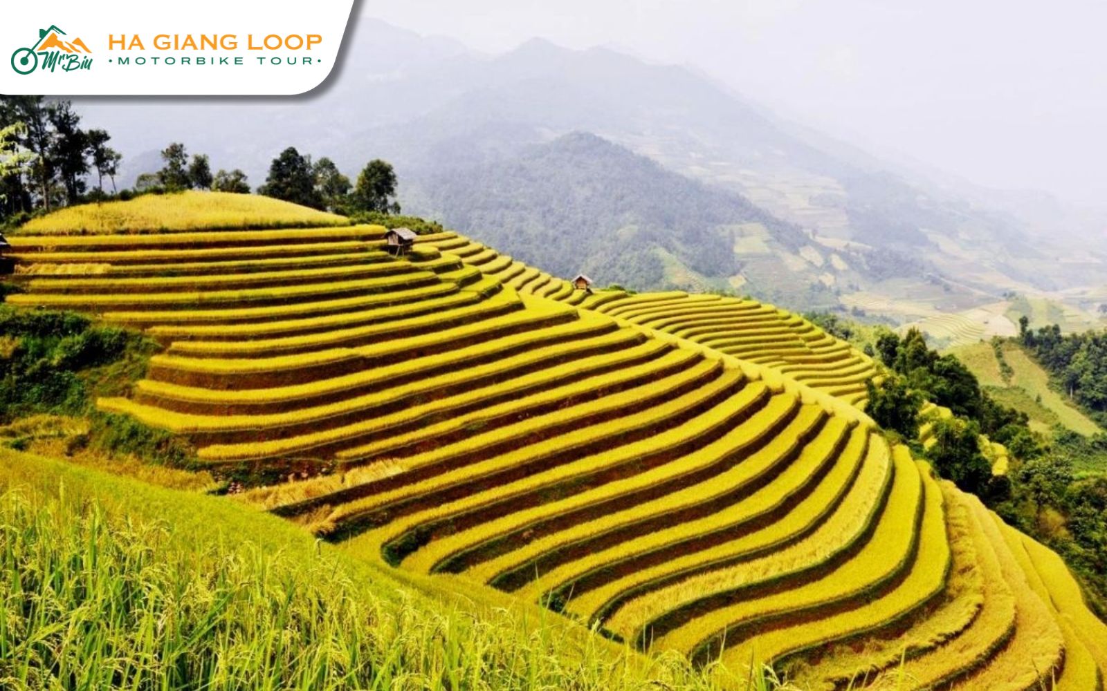 Tips for the Best Experience at Ha Giang’s Rice Terraces