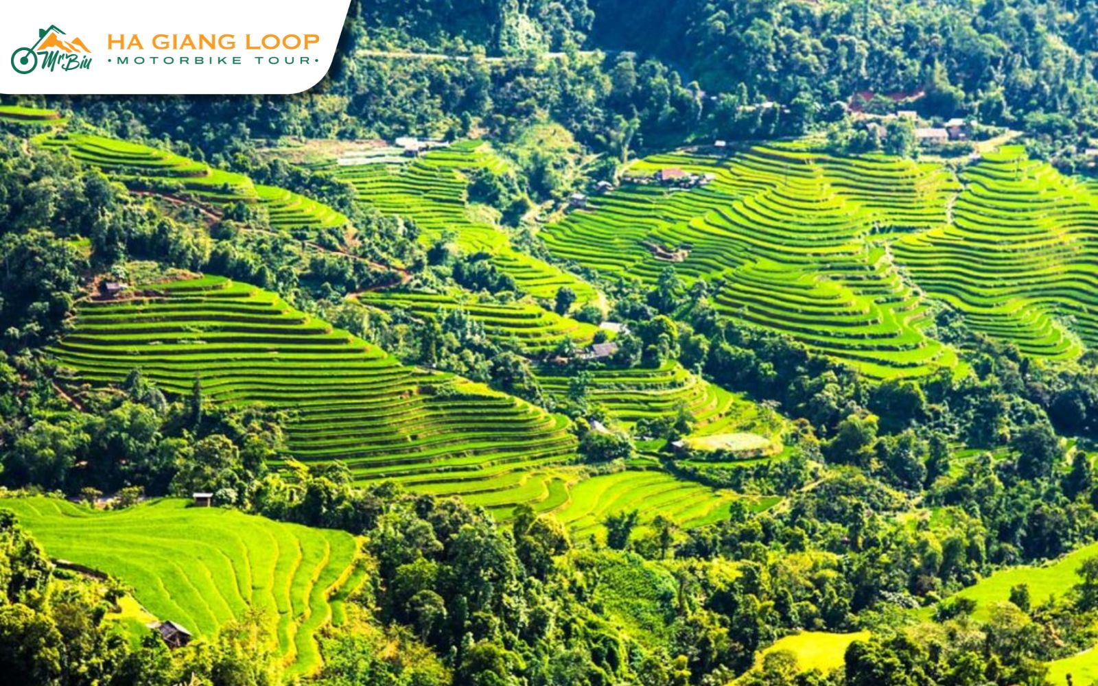 When to Visit Ha Giang Rice Terraces