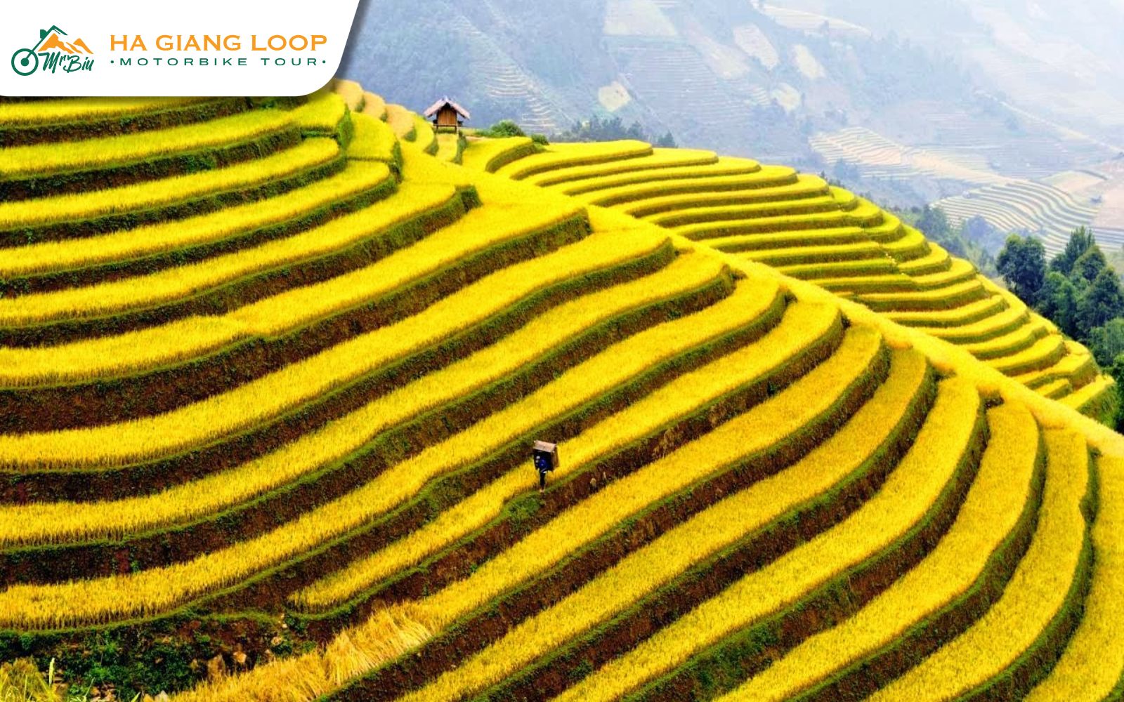 Golden sunlight touches terraced fields near Lung Tam Village