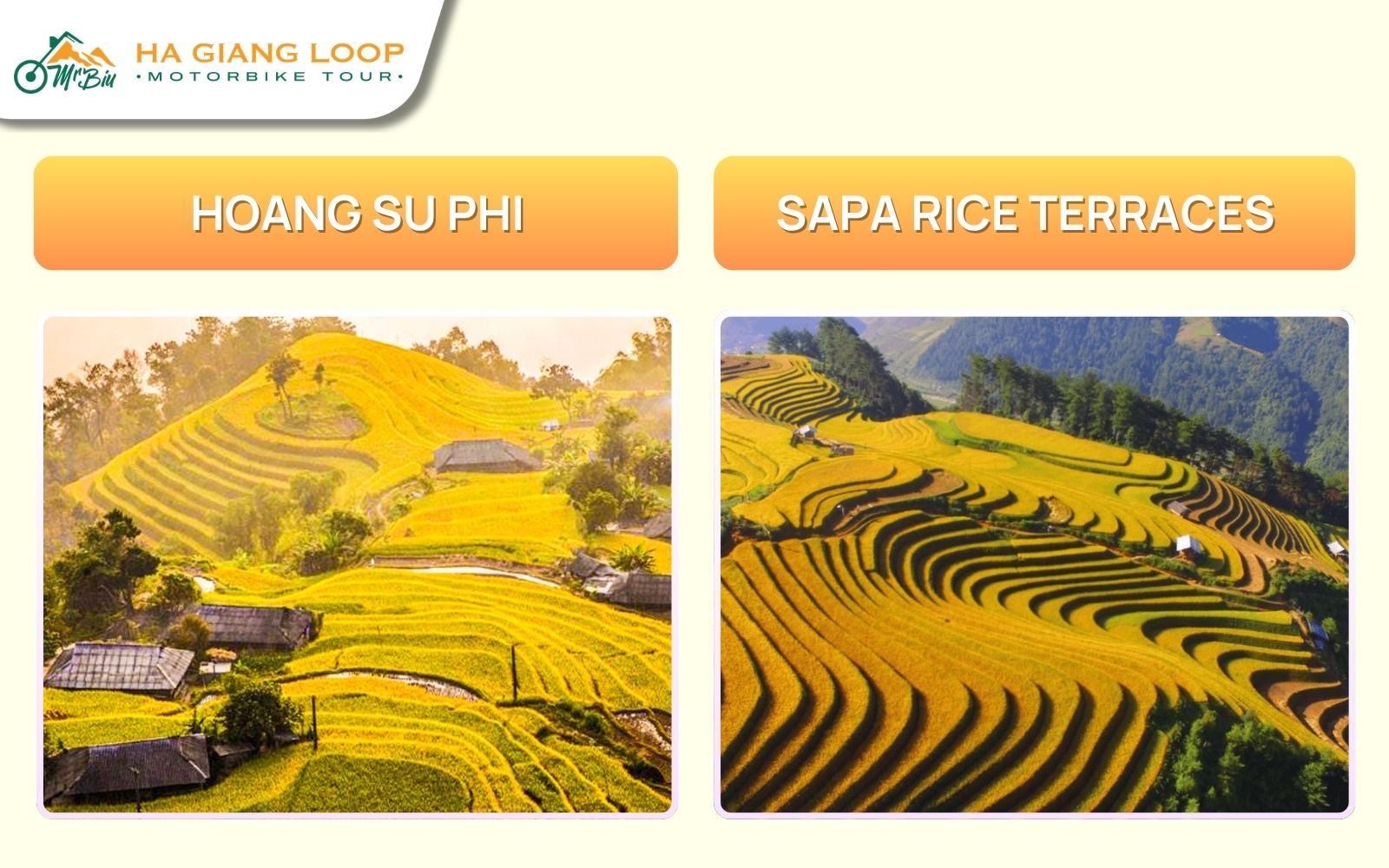 Hoang Su Phi vs Sapa rice terraces