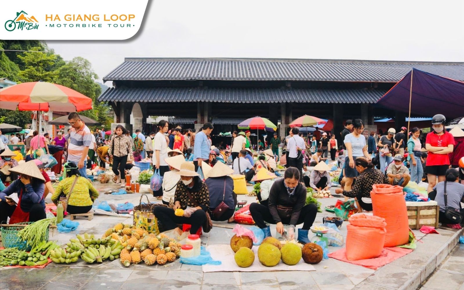 Local markets in Hoang Su Phi
