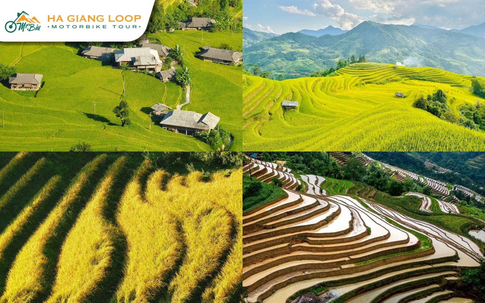 The four seasons including Hoang Su Phi flooding season