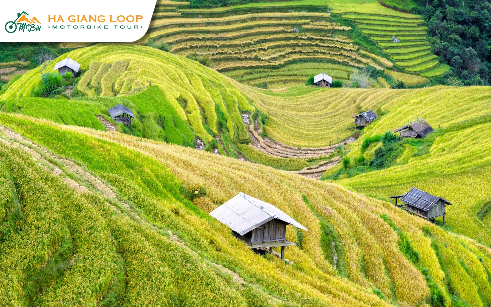 Lung Tam Village photos