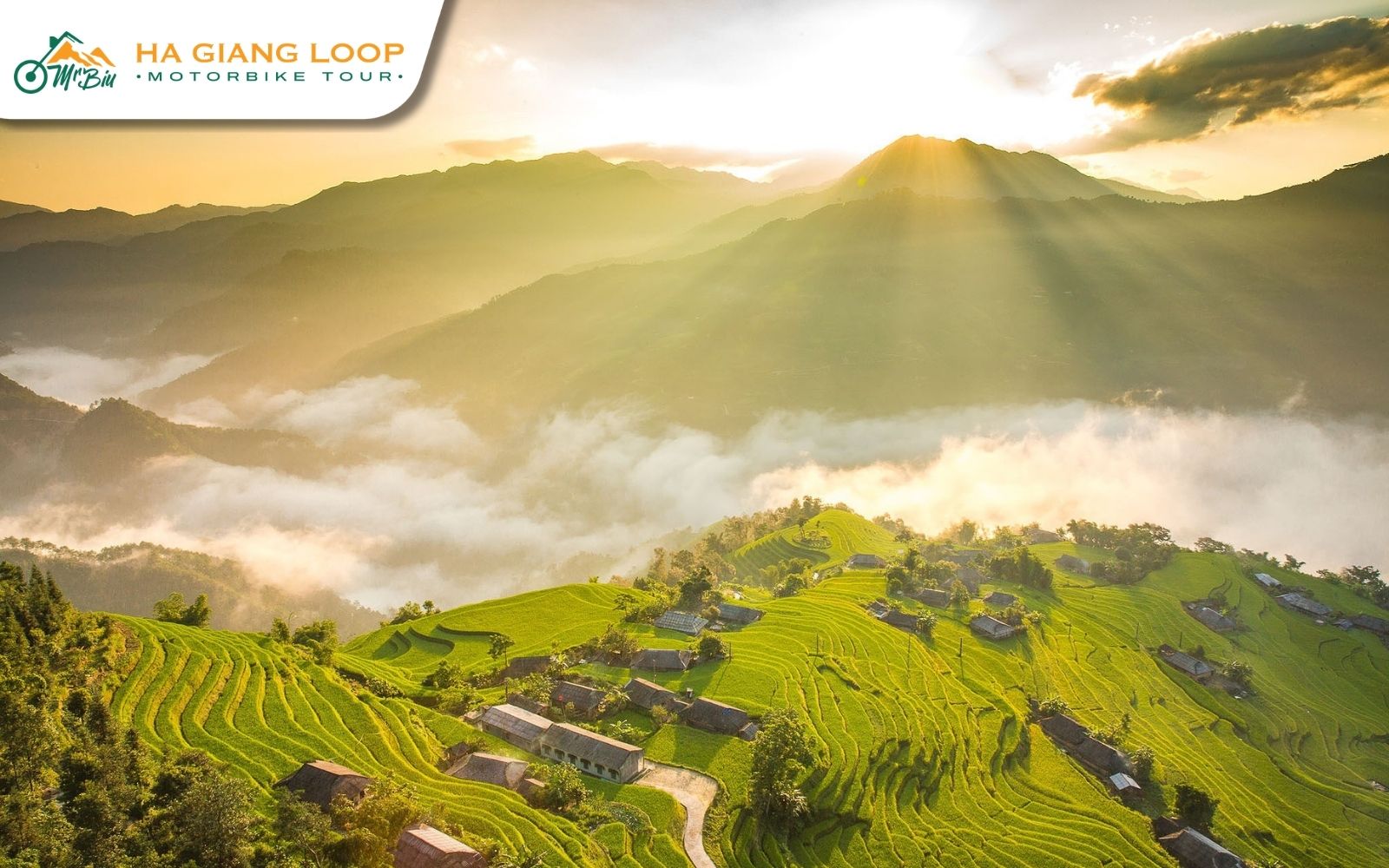 What makes Rice terrace reflections special