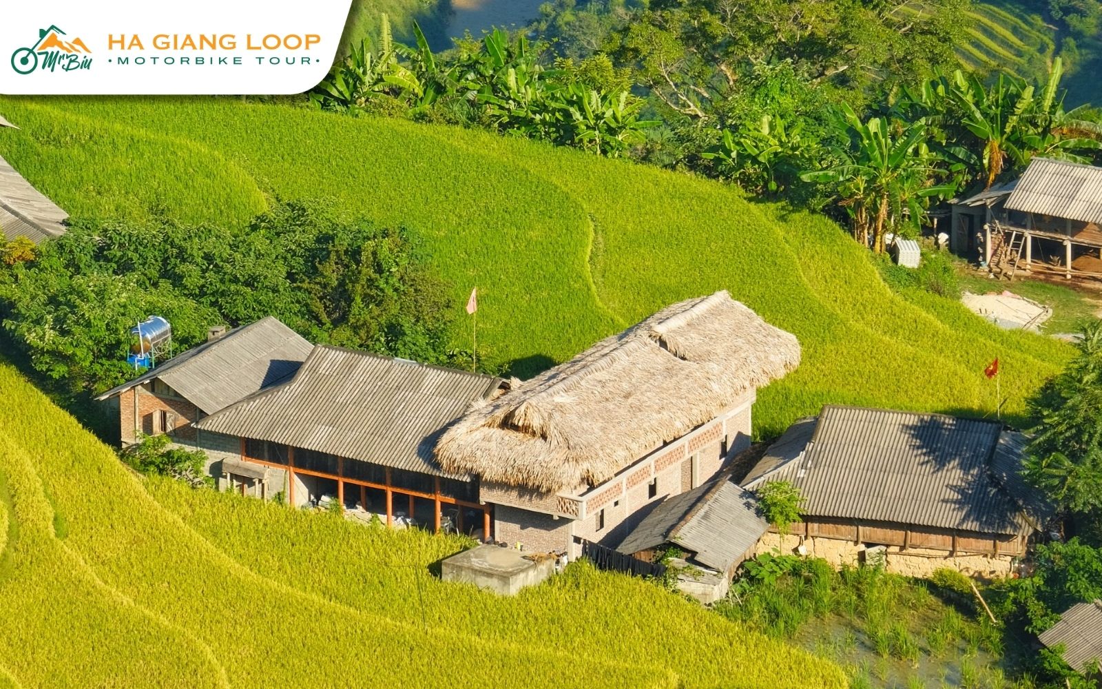 Where is Hoang Su Phi terraced rice fields located