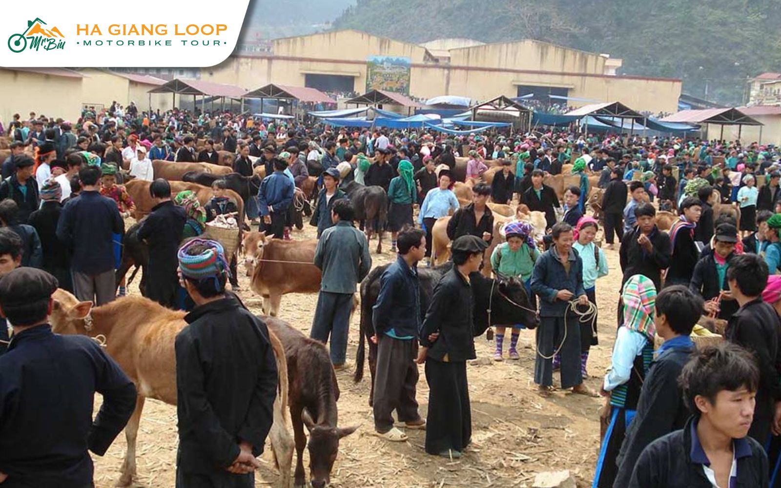 Be mindful when visiting markets in Ha Giang