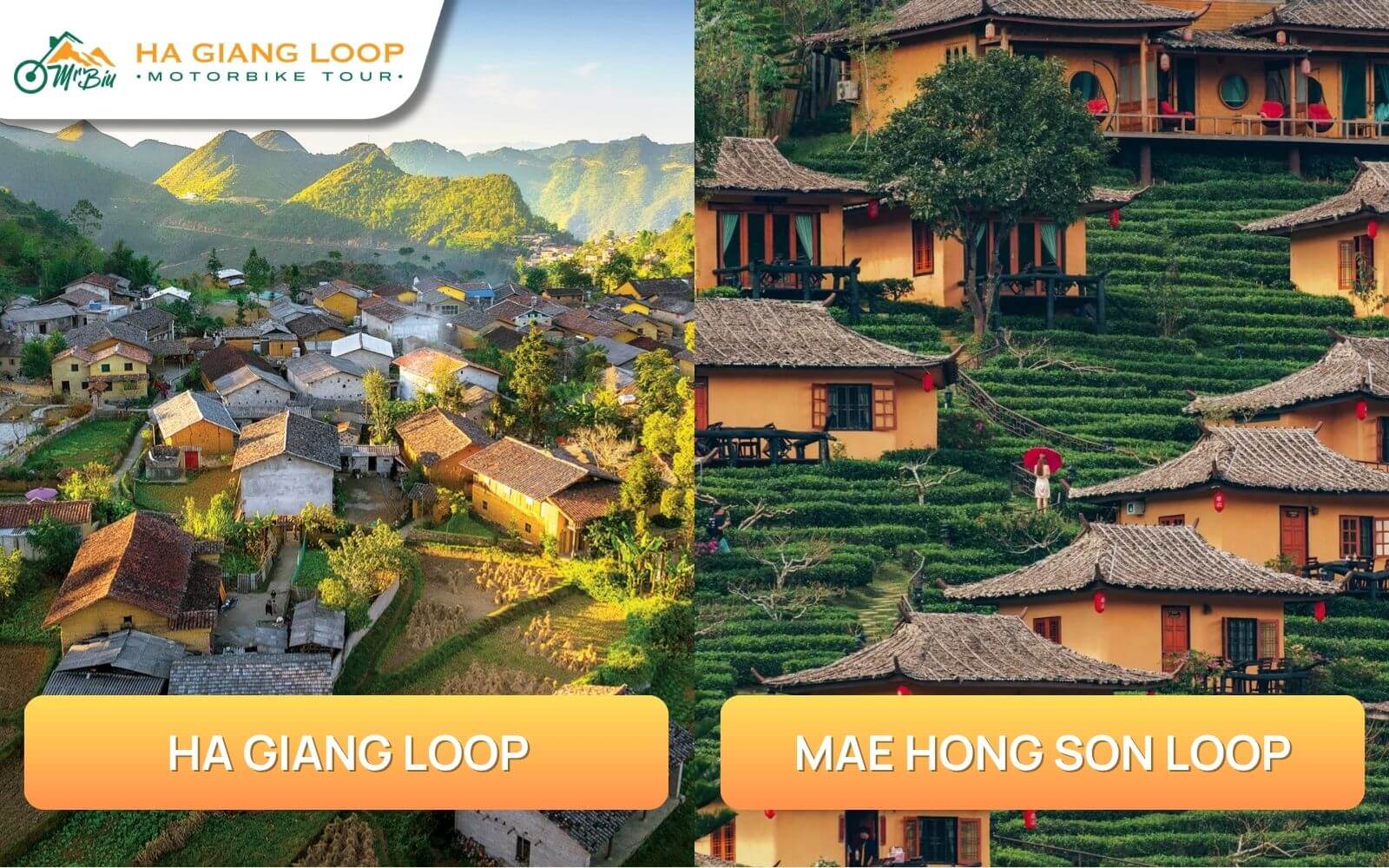 Cultural experience and atmosphere