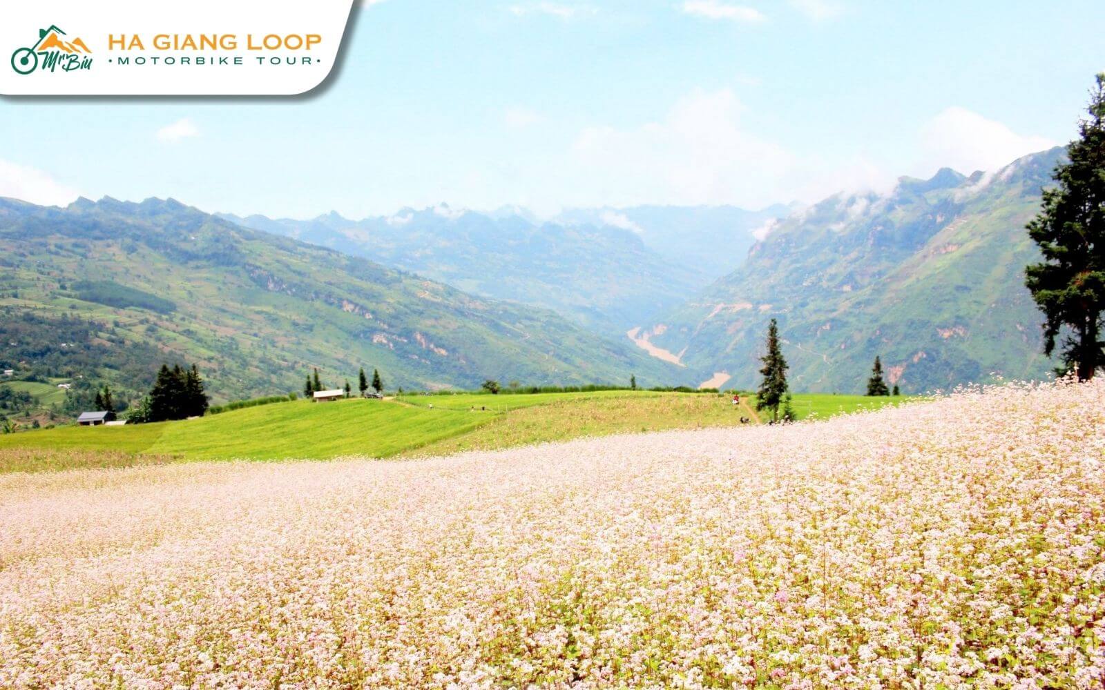 Discover the peaceful Sung La Valley