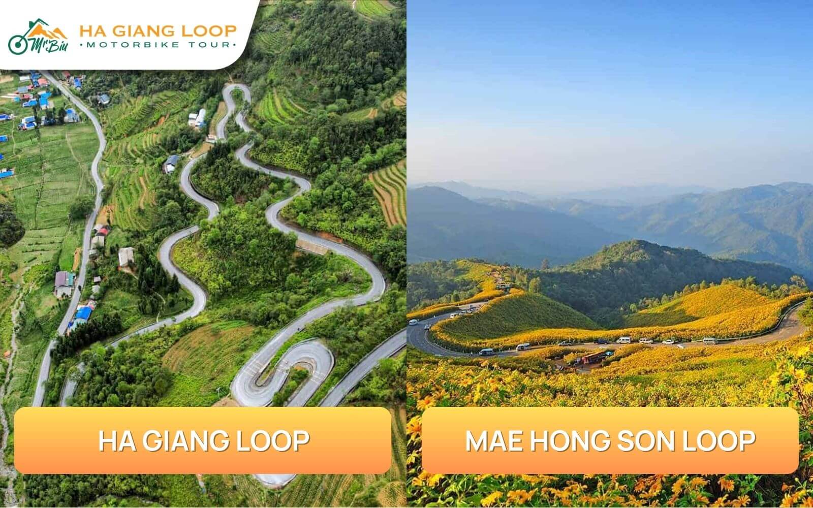 Scenery and landscape differences

