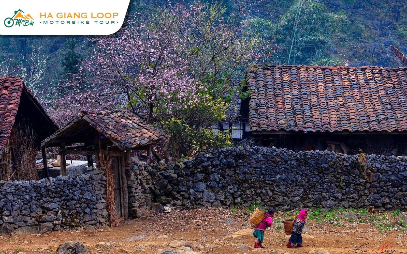 Visit local ethnic villages in the mountains