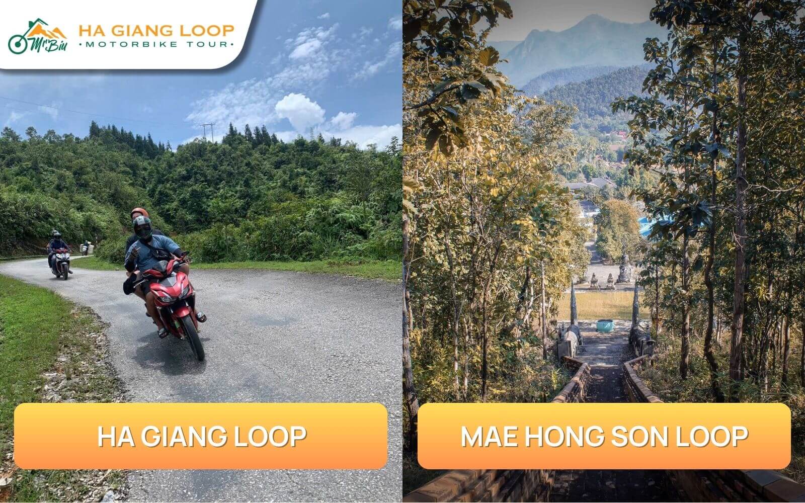 Which loop is better for beginners
