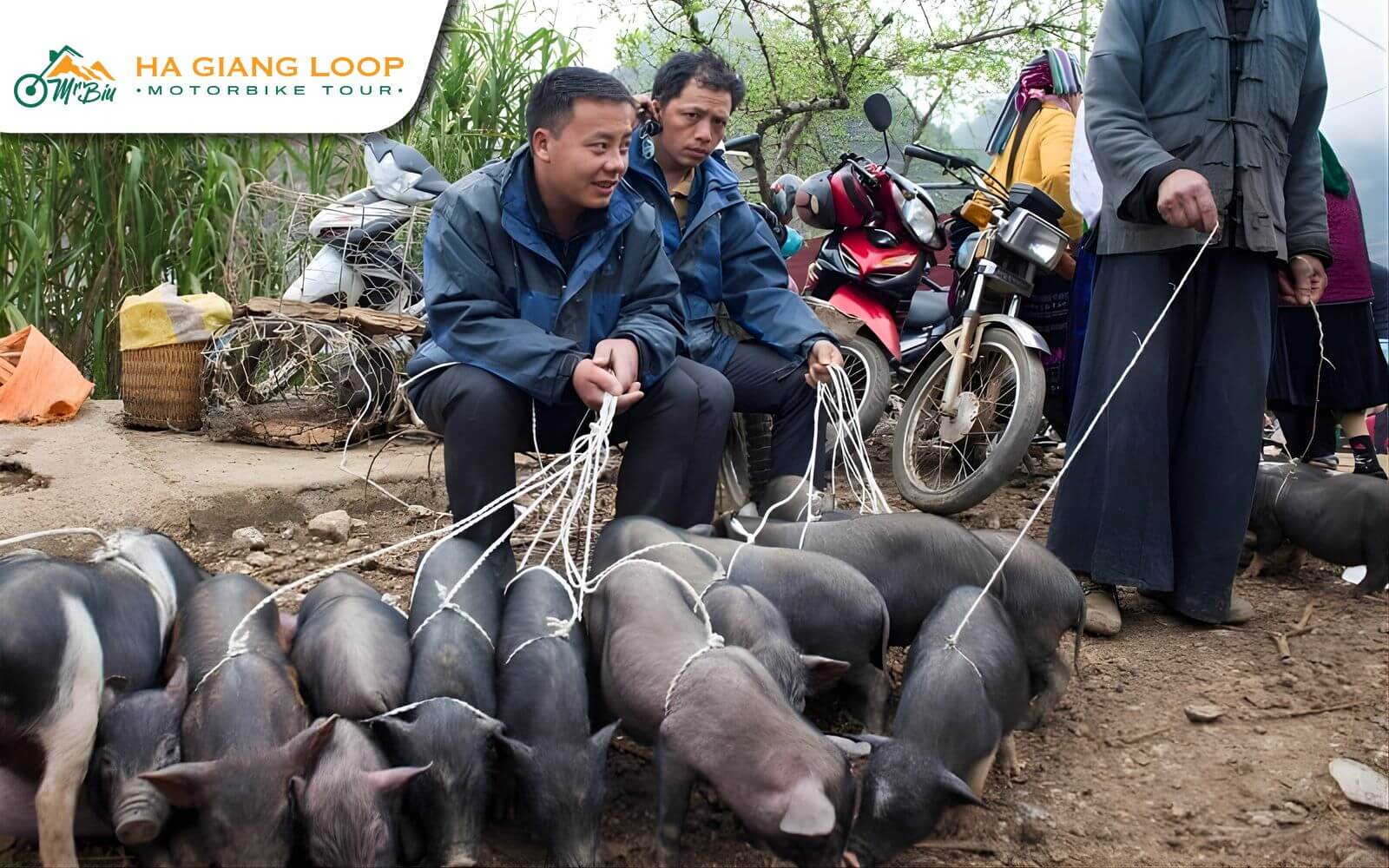 Witness local trading traditions
