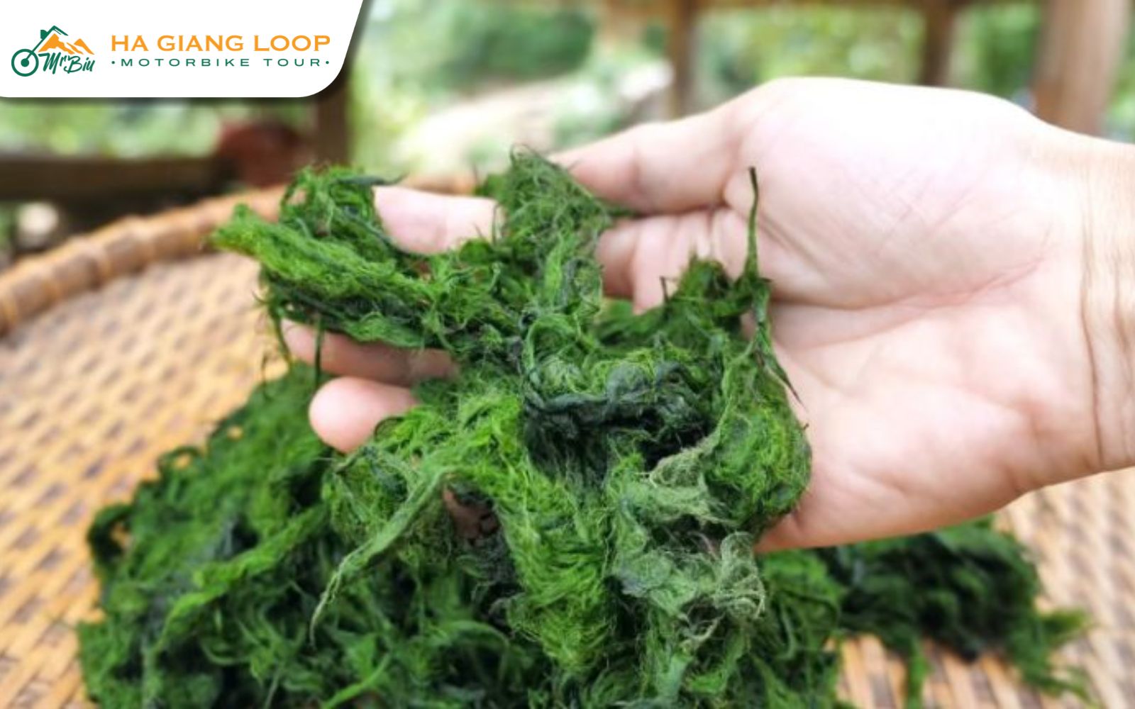 Moss from mountain streams grilled with local herbs