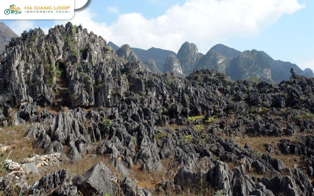 Sharp limestone rock field under a blue sky