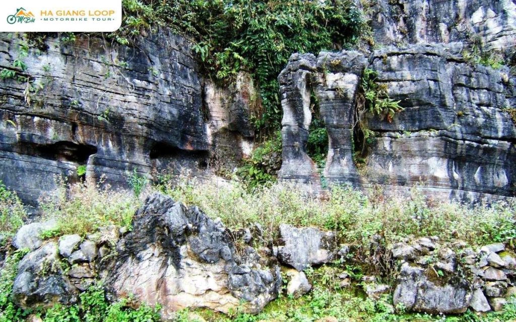 Limestone cliff worn into ridges and hollows by water