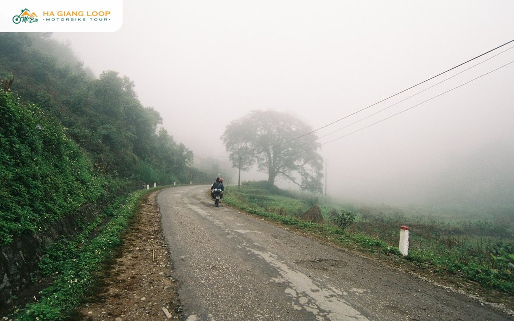 Motorbike rider in thick fog on a mountain road above Bac Sum Pass
