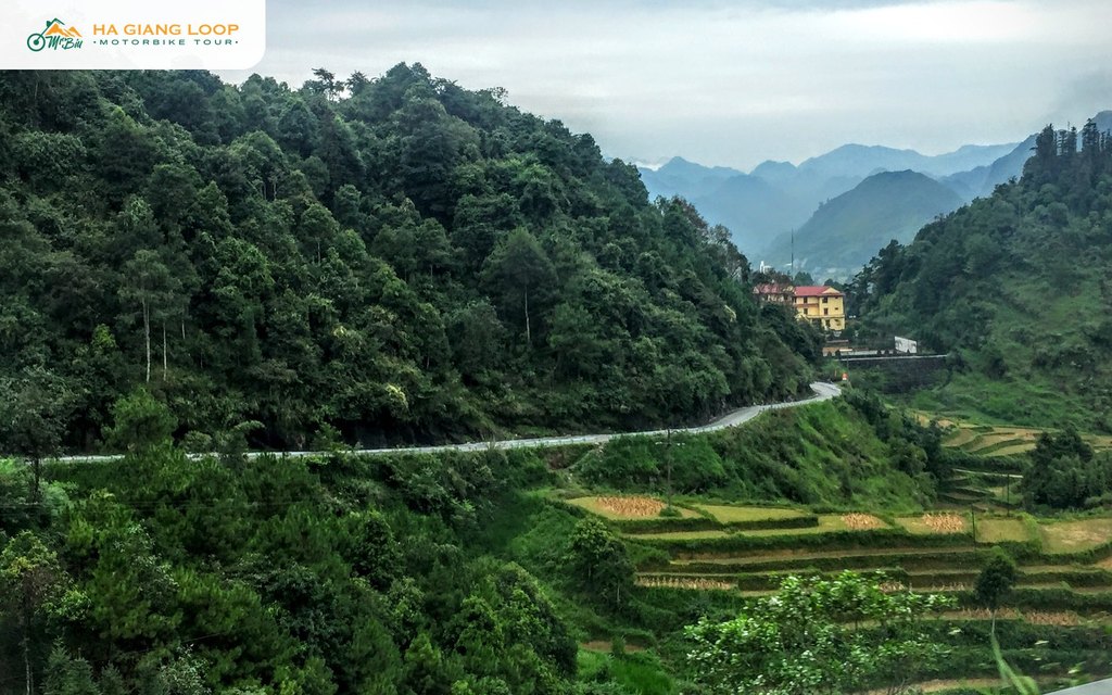 Mountain road above freshly harvested rice terraces near Tam Son town, Quan Ba